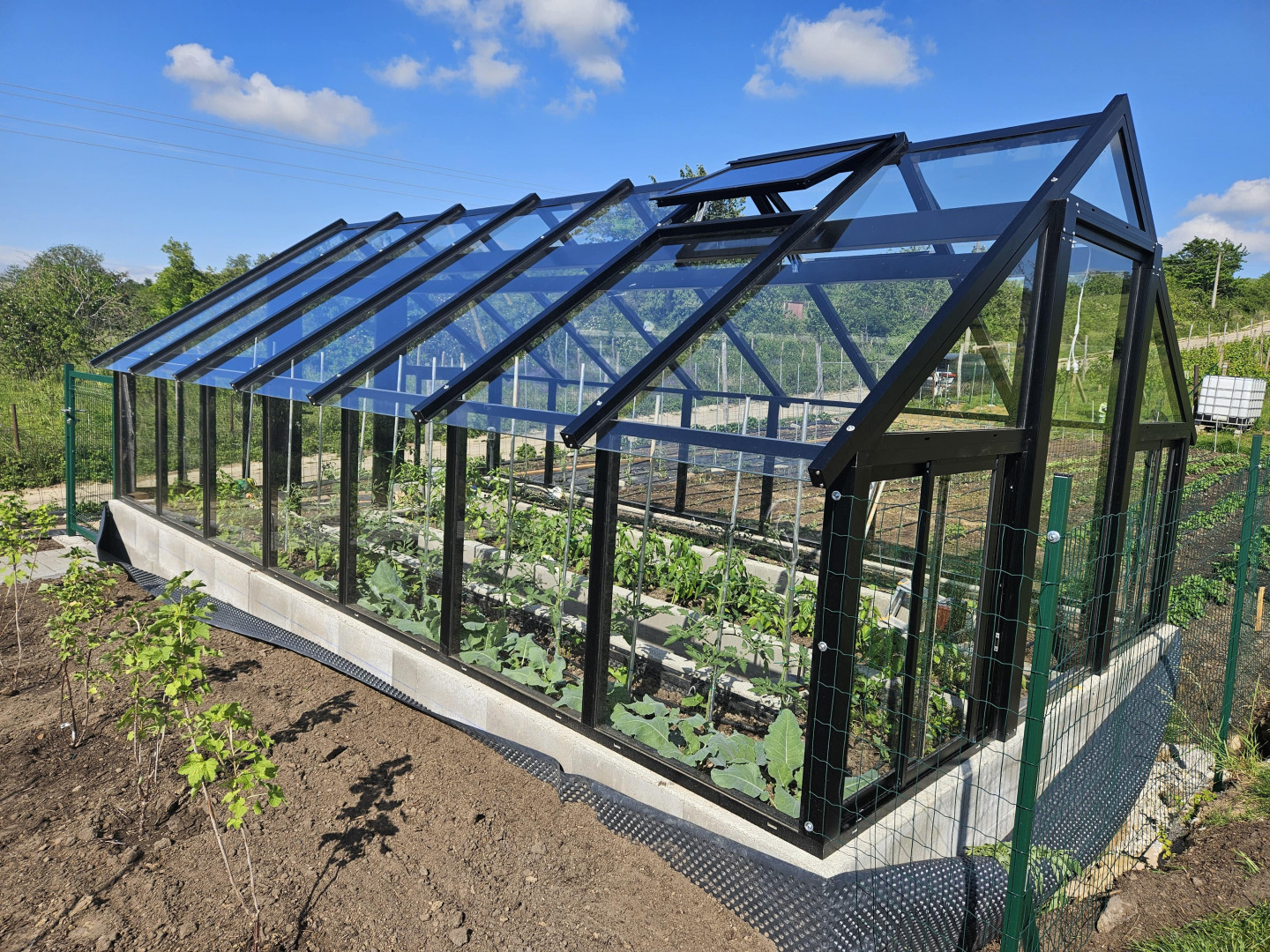 Ein modernes, verglastes Gewächshaus mit schwarzer Konstruktion und im Garten angebautem Gemüse.