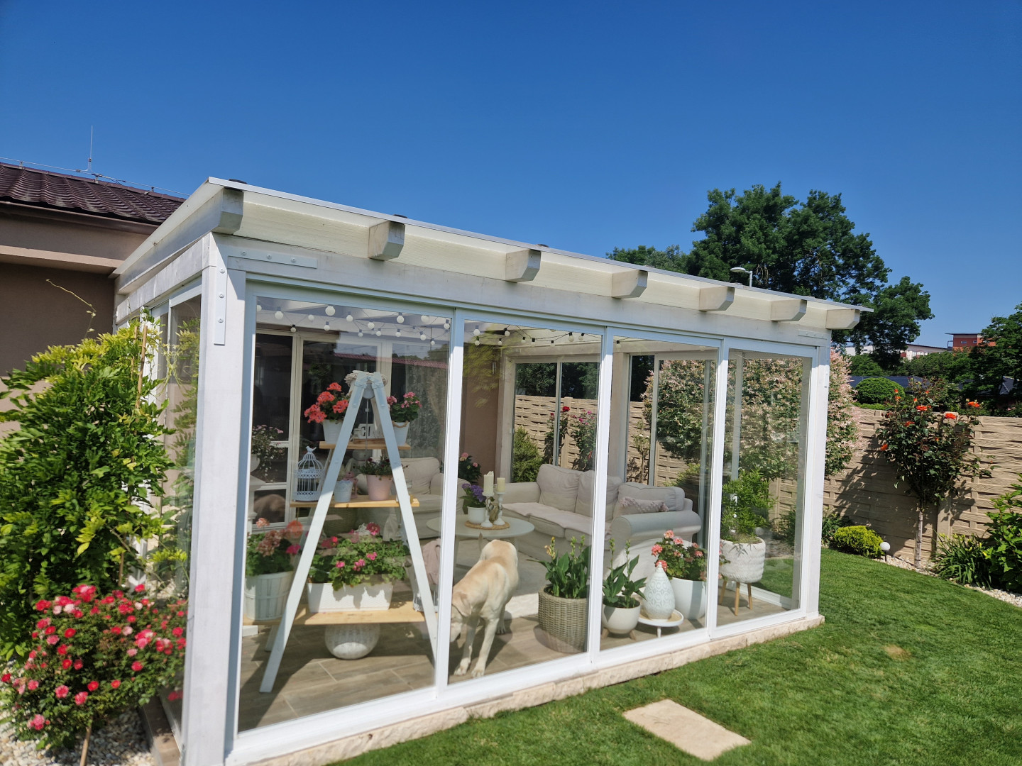 Ein moderner, weißer, verglaster Wintergarten mit Blumendekoration und Möbeln im Garten eines Einfamilienhauses